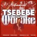 Tsebebe Moroke – For The Matured Promo Mixtape (100% Production Mix 10)