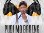 Dr Nel – Pudi Mo Bareng ft. Marumo The Vocalist & Mash K